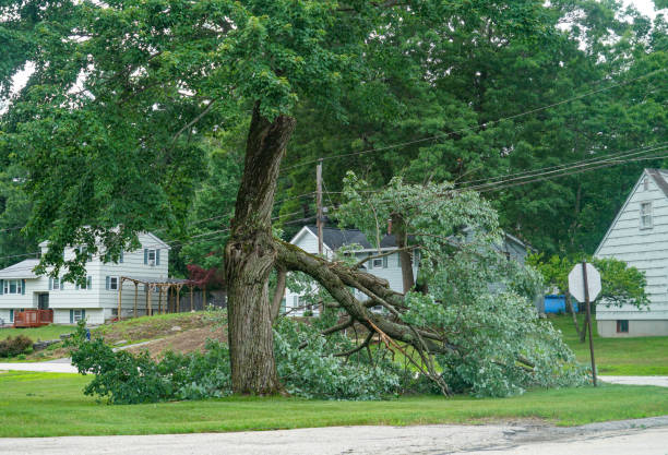 Best Lot and Land Clearing  in Waverly, OH